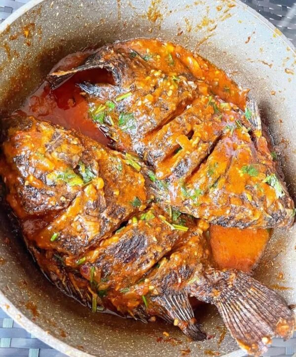 Tilapia Fish